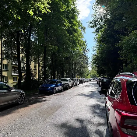 Kuvik *