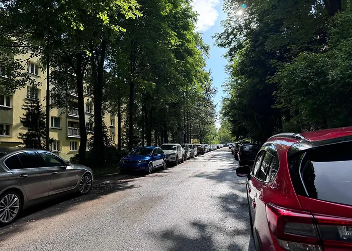 Kuvik *
