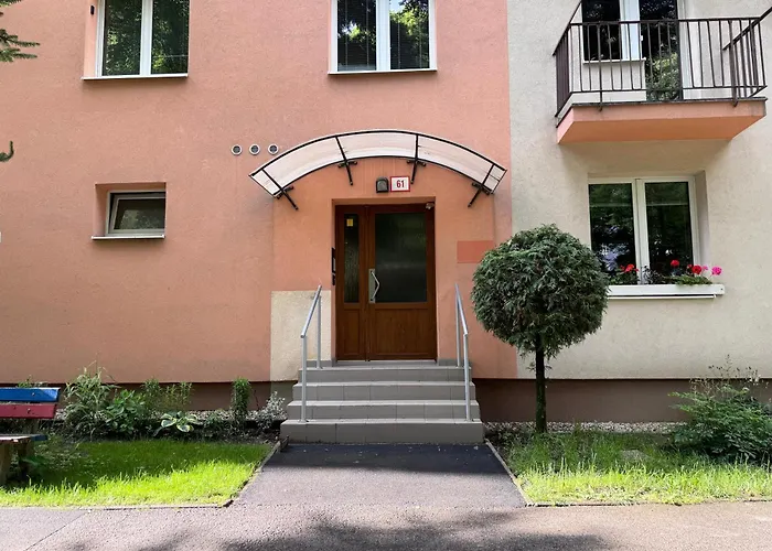 Kuvik